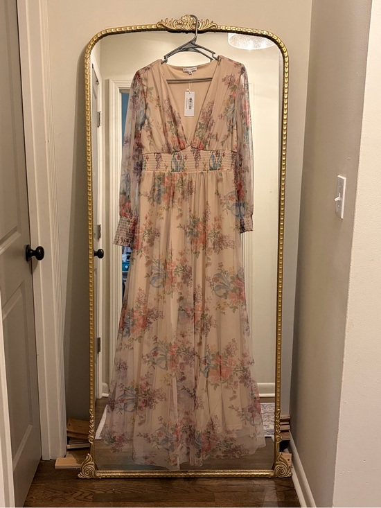 Baltic Born Dresses & Skirts - Baltic Born Blush Tulle Maxi Dress